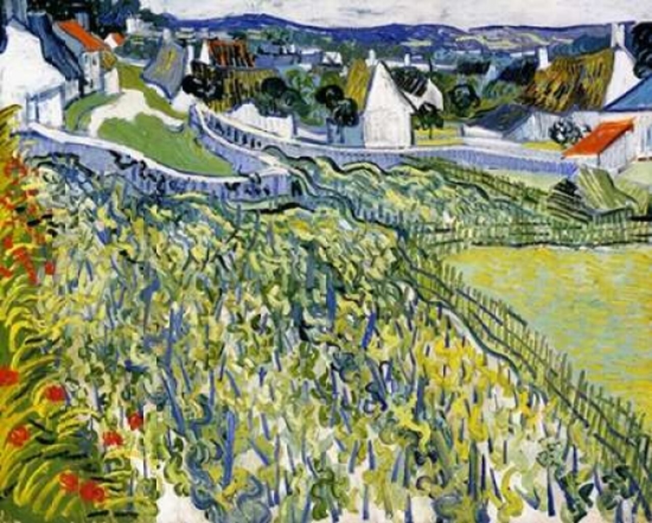Vineyards Auvers Poster Print by  Vincent Van Gogh - Item # VARPDX374588